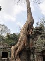 SiemReap_608