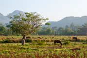 Vinales_0345