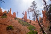 BryceCanyon_8535