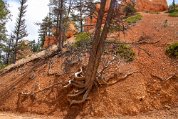 BryceCanyon_8536